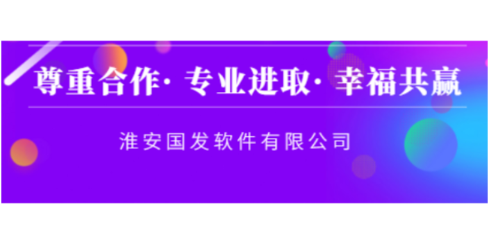 数智化的营销软件操作方便 服务为先 淮安国发软件供应