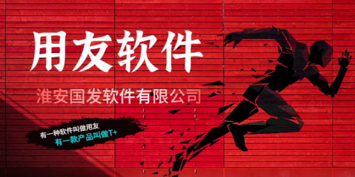 淮安深受喜愛的進(jìn)銷存軟件哪家好 真誠推薦 淮安國發(fā)軟件供應(yīng)