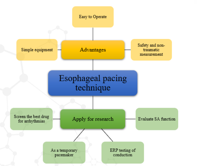  Esophageal pacing technique