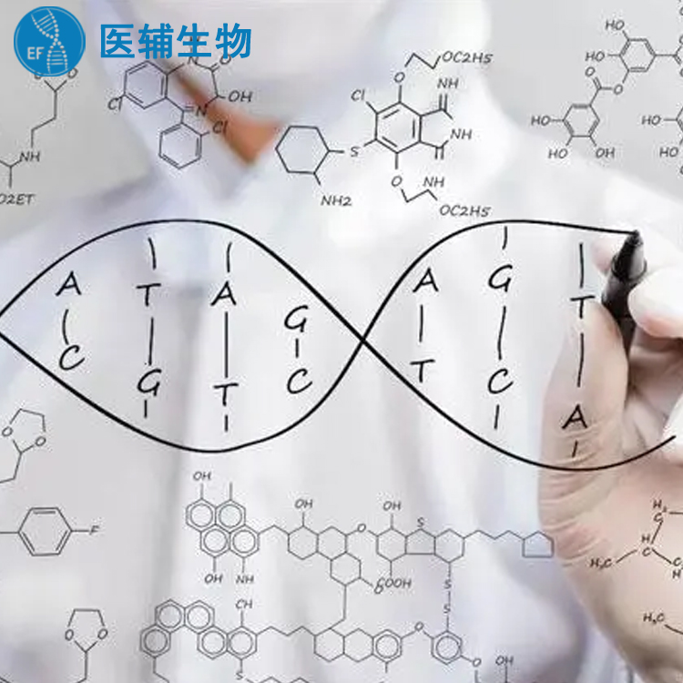 广州番禺亲子鉴定什么地方可以做