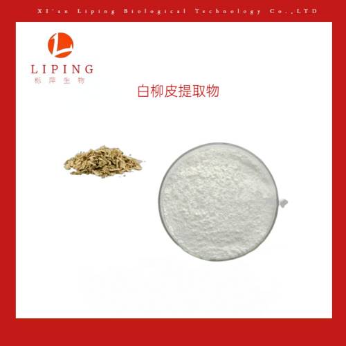 白柳皮提取物水楊甙98