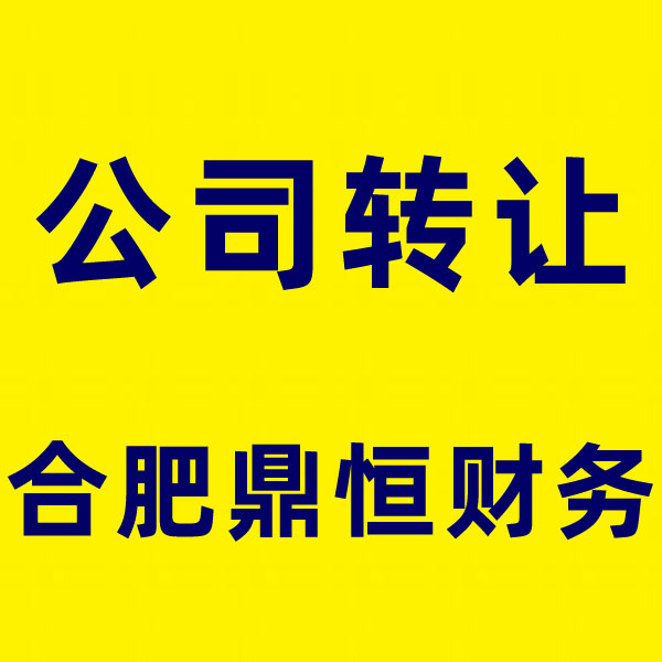 合肥市滨湖区公司注销