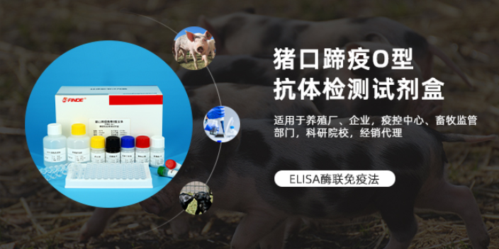 寧夏牛羊口蹄疫酶聯(lián)試劑盒 深圳芬德生物供應(yīng) 深圳芬德生物供應(yīng)