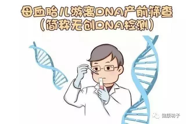 葫芦岛怀孕胎儿亲子鉴定