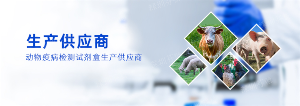 上海豬偽狂犬gB抗體檢測試劑盒 深圳芬德生物供應(yīng) 深圳芬德生物供應(yīng)