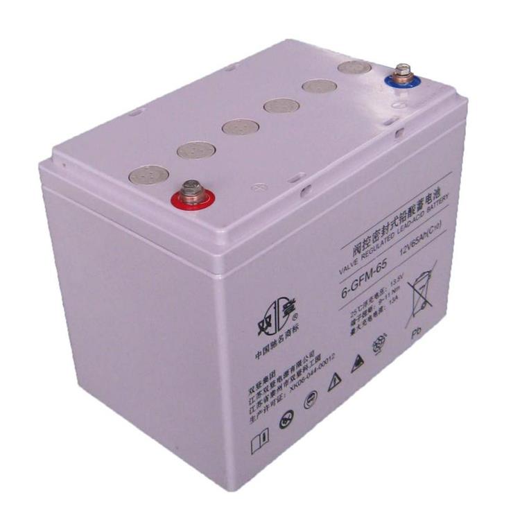 雙登12V38AH蓄電池廠家