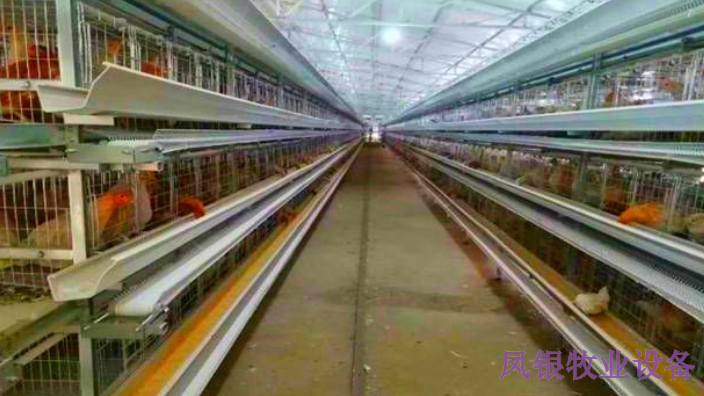 湖北養雞場圖片 河南鳳銀牧業養殖設備供應