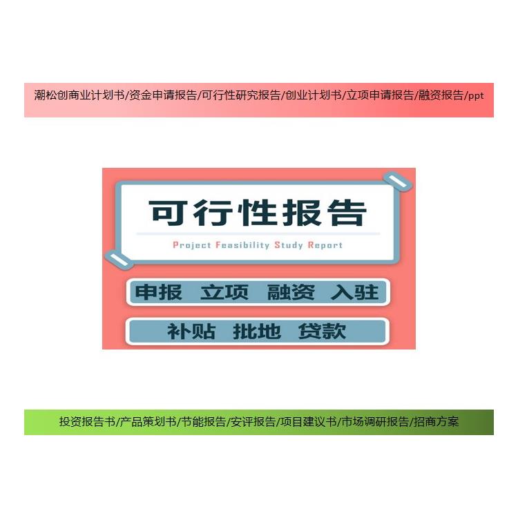 海水淡化活动 项目融资报告书/ppt代做 代写单位