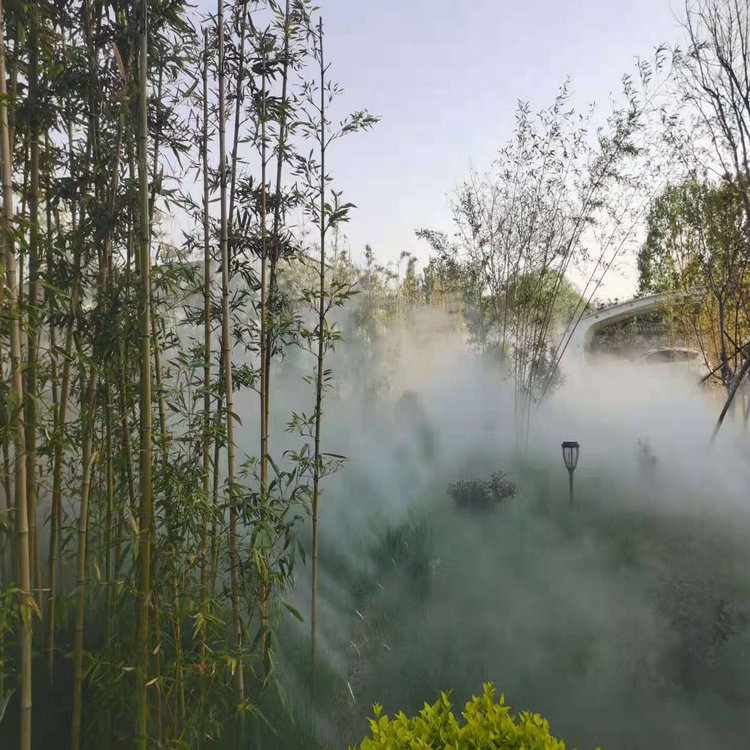 池州人造雾设备