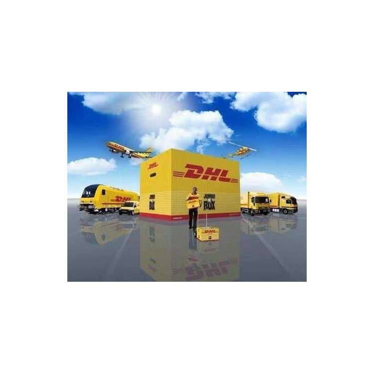 泰州到新加坡DHL 国际快递 寄粉末液体到国外到门