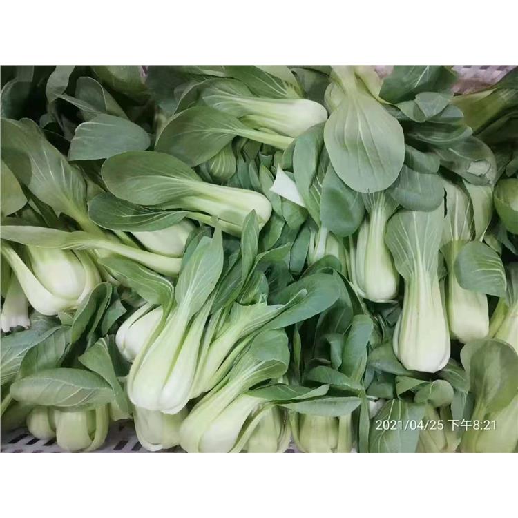 塘廈鎮(zhèn)食材配送公司 橋頭鎮(zhèn)農(nóng)副產(chǎn)品配送 本地實(shí)力配送