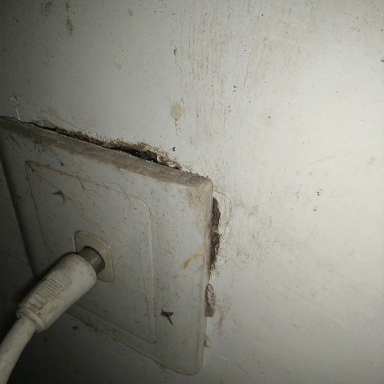 廣元倉庫白蟻防治費用 百戶喜