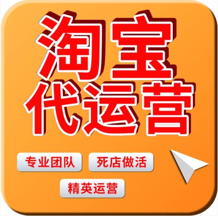 保定网店托管公司