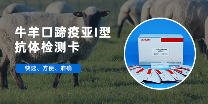 豬口蹄疫試紙 深圳芬德生物供應 深圳芬德生物供應