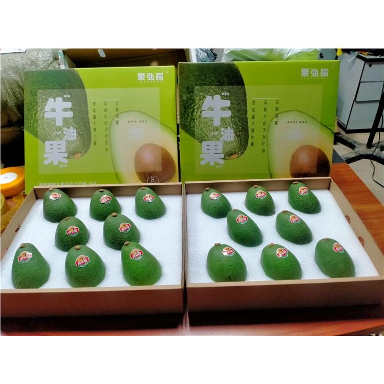 桂林桂研10號牛油果廠家直供 批發廠家