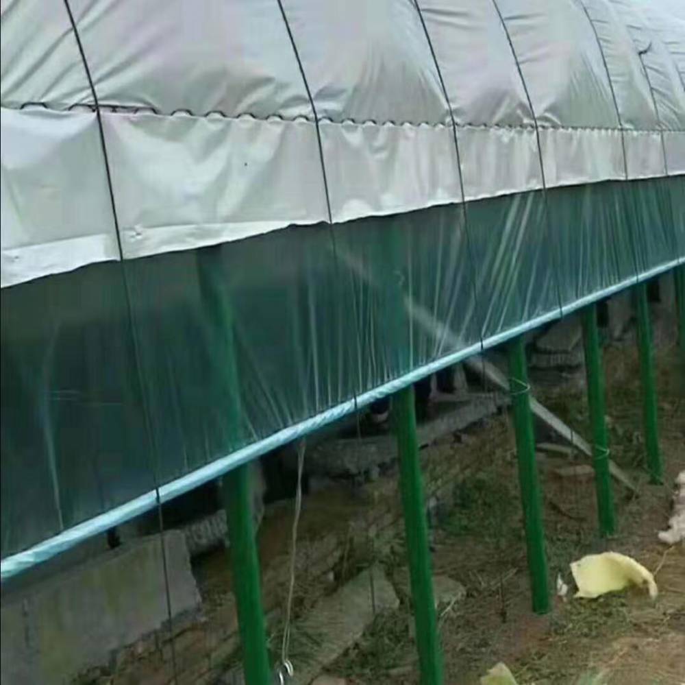 昭通西紅柿橢圓大棚管定做