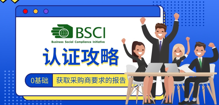 BSCI咨询公司管理手册