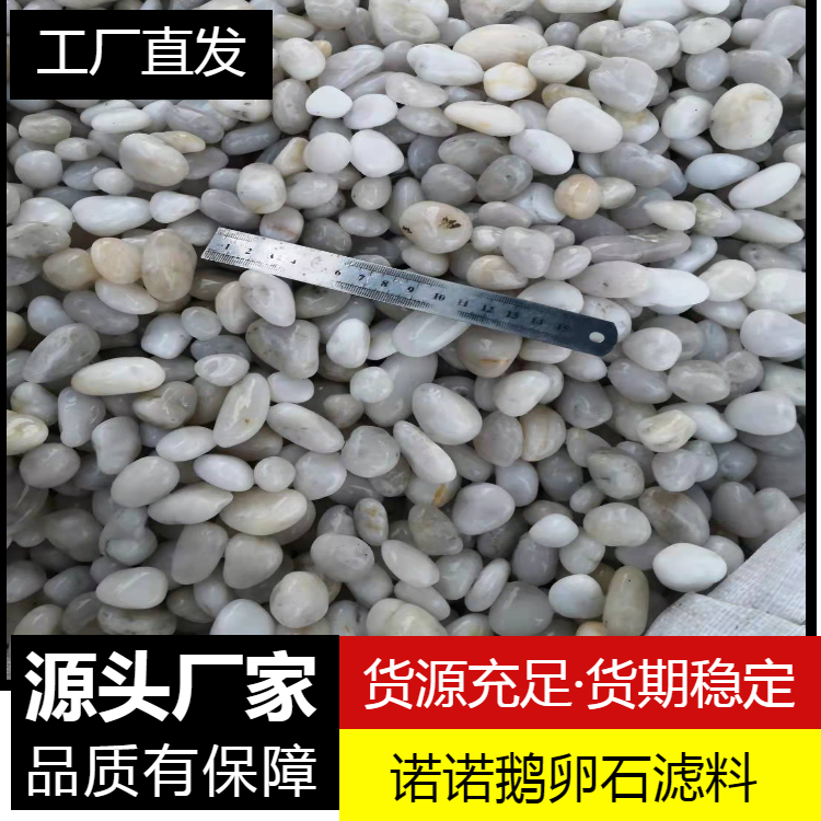 園林裝飾白色鵝卵石批發(fā) 可加工定制