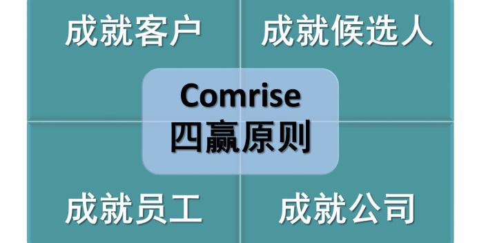 上海新能源獵頭哪家便宜 值得信賴 深圳棲才智能科技供應