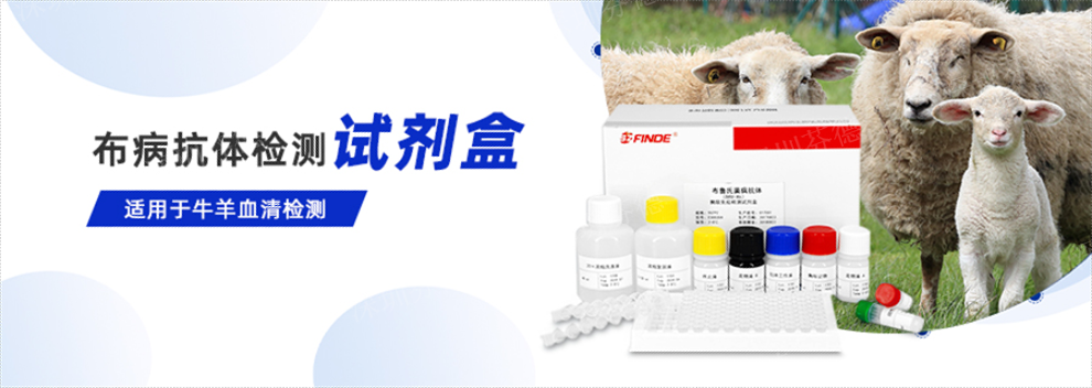 云南豬弓形體抗體檢測試劑盒哪里買 深圳芬德生物供應 深圳芬德生物供應