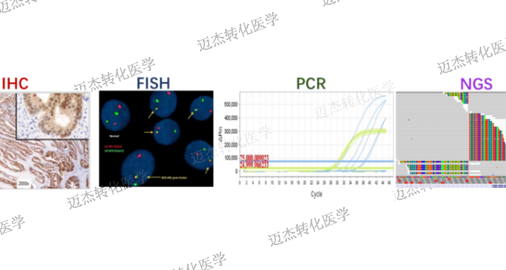北京专注迈杰转化医学NGS平台推荐咨询,迈杰转化医学NGS平台