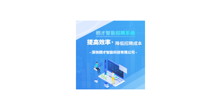 蘇州SAAS招聘系統好用嗎 客戶至上 深圳棲才智能科技供應