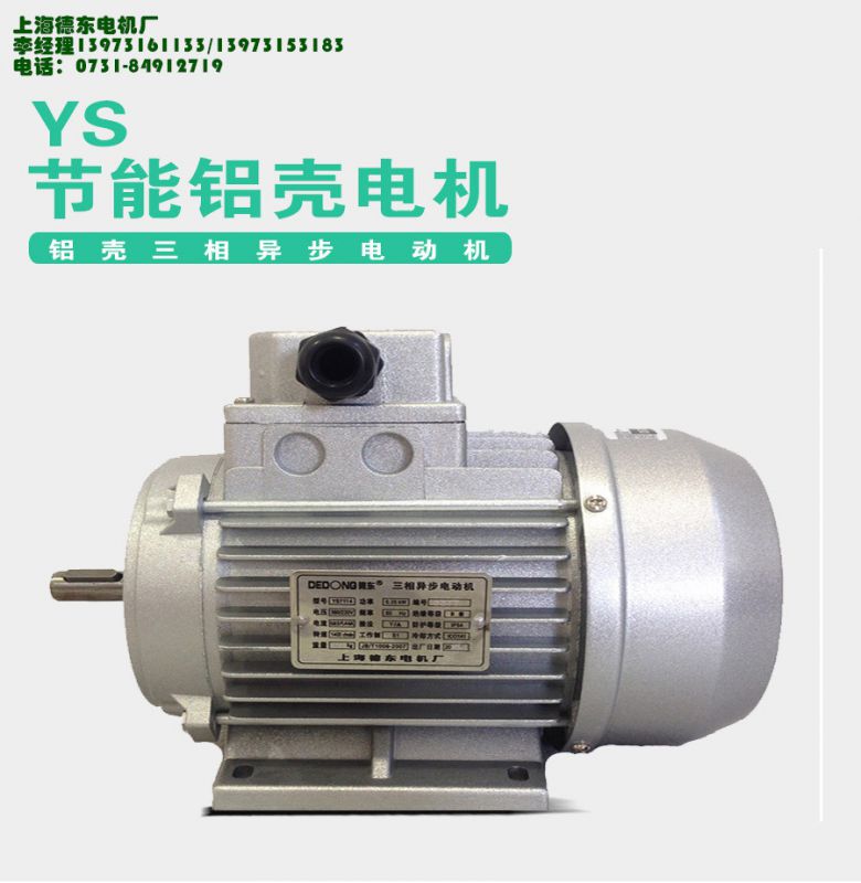 原廠** 強(qiáng)勁動力德東電機(jī)YS5612 0.09KW小功率