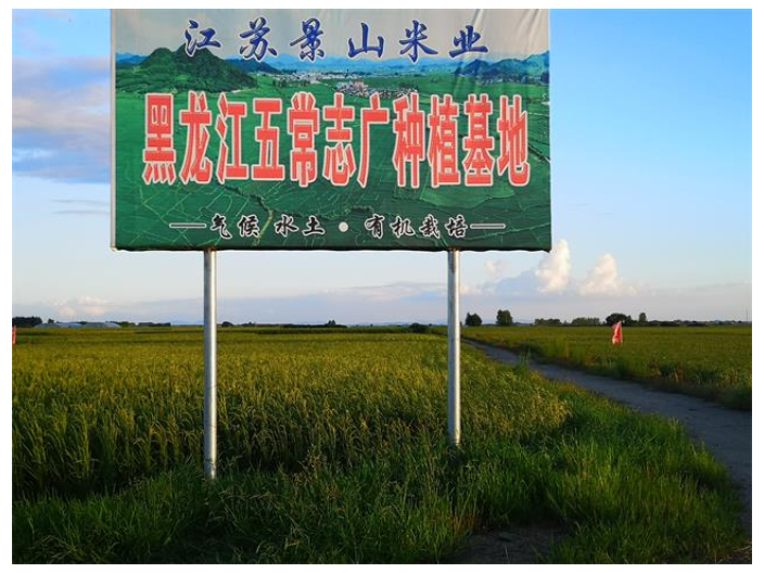 衢州真空包裝米工廠直銷(xiāo) 江蘇景山生態(tài)有機(jī)農(nóng)業(yè)供應(yīng)