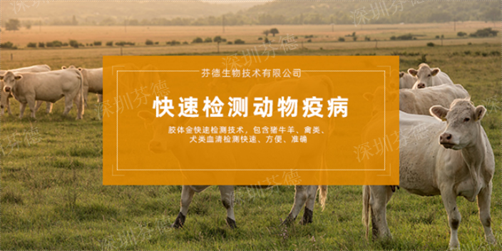 湖南禽流感H5N1抗原检测卡服务电话,抗原检测卡