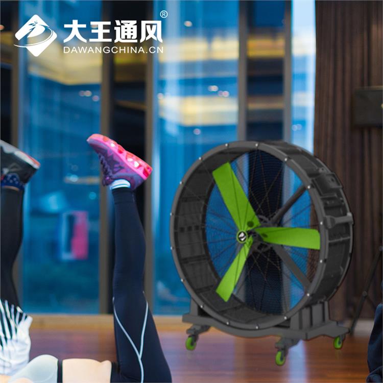 江蘇工業(yè)風(fēng)扇設(shè)備廠家 免維護(hù)電機(jī)