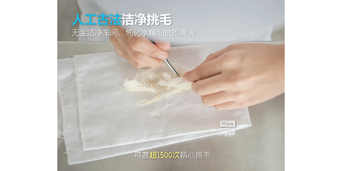 福建碗裝燕窩代加工廠家 中亞天成供應