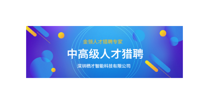 中山猎头企业 贴心服务 深圳栖才智能科技供应