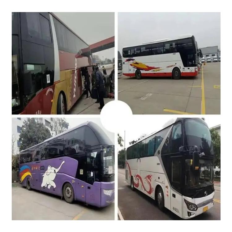 東營到亳州大巴車客運汽車時刻表 寵物托運/零擔貨物