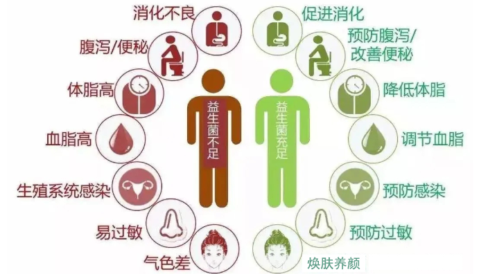 福建低脂四聯益生菌 山西澳營健康管理供應