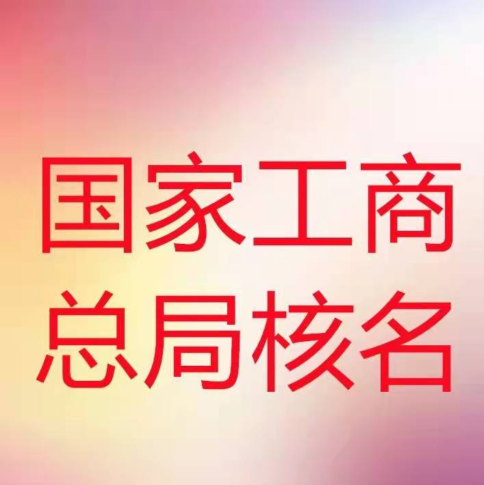 無域名的公司設立條件及申請流程