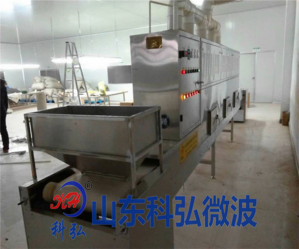 陜西大型微波膨化設(shè)備-大型微波膨化設(shè)備哪家好-科弘微波
