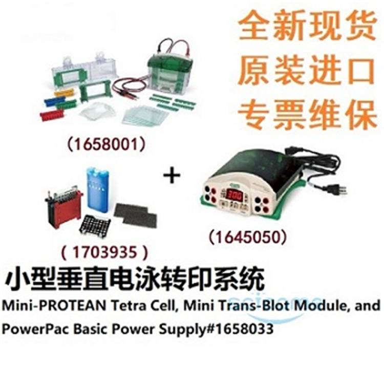 美国伯乐Bio-Rad小型垂直电泳转印系统三件套1658033