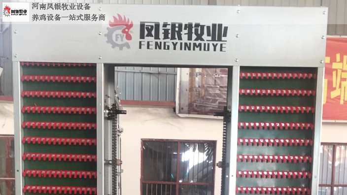 焦作一萬只自動化養雞雞舍 河南鳳銀牧業養殖設備供應