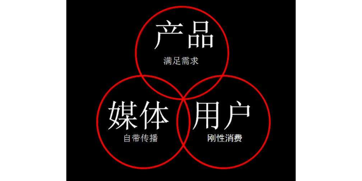山東自媒體推廣鄭重承諾 歡迎來電 山東宸星信息供應