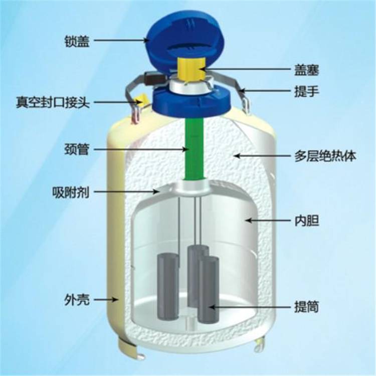 金凤液氮罐 YDS-35-125 金凤液氮容器 现货直发