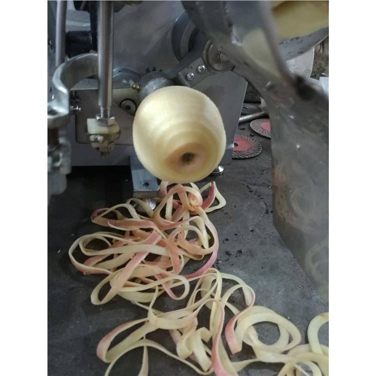 長沙榛子去皮機廠家 多功能去皮機 應用范圍