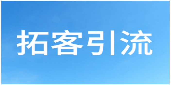 坡头区个人网站建设推广运营,网站建设