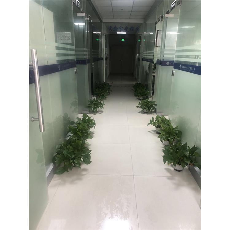 梅州房屋主體結構鑒定 樓面荷載安全檢測標準 經(jīng)驗豐富