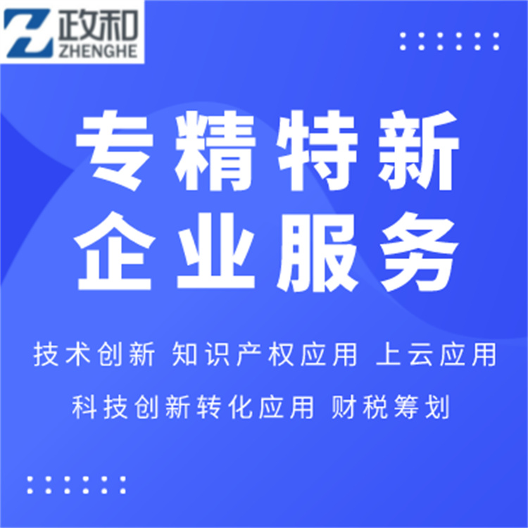 北京專精特新小巨人企業認定代理機構-一對一服務