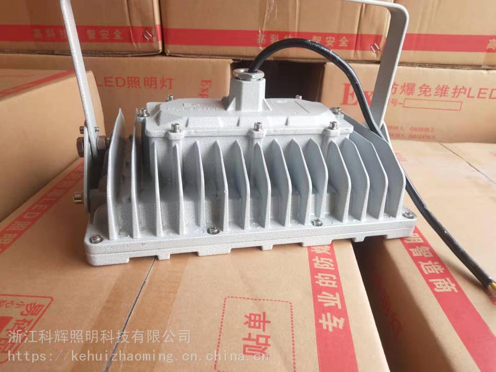 電鍍酸洗車間LED照明燈防腐防爆LED照明燈方形防爆燈100W50W20W防爆燈