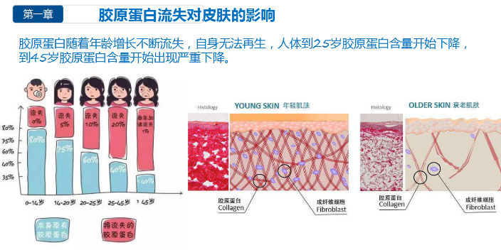 广州胶原蛋白肽*真的有用吗,胶原蛋白肽