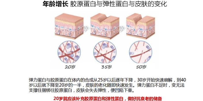 南京進(jìn)口膠原蛋白肽飲品品牌 諾倍康供應(yīng)