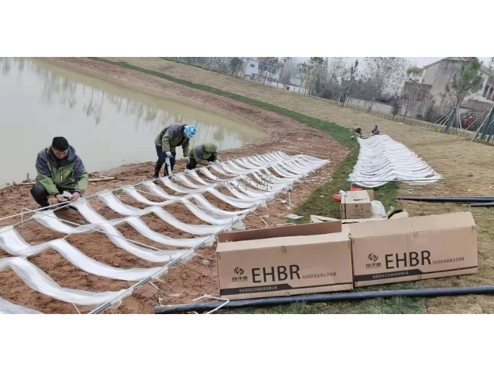 江西水环境治理MABR膜治理,MABR膜