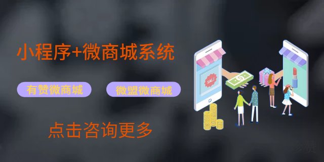 巴南区有赞小程序商城适合什么样的商家,商城