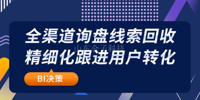 坊子區營銷網絡推廣企業 誠信經營 山東金子網絡科技供應